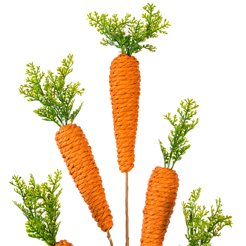 Vickerman Carrot Collection