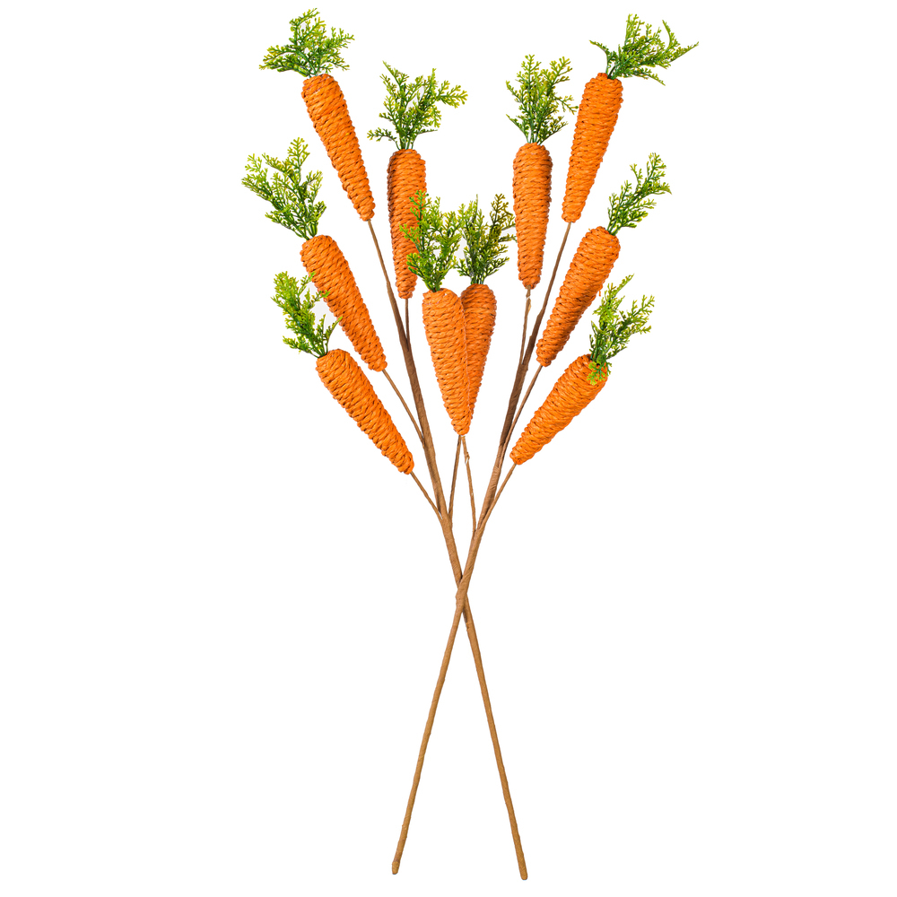 Vickerman Carrot Collection