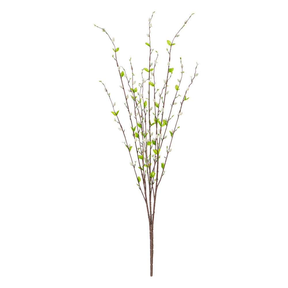 Goat Willow Bush