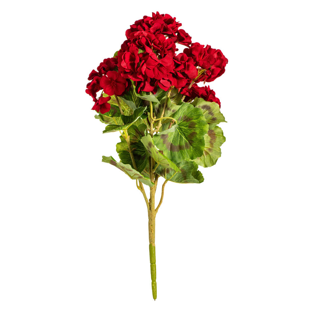 18" Geranium Bushes / 4/Pack