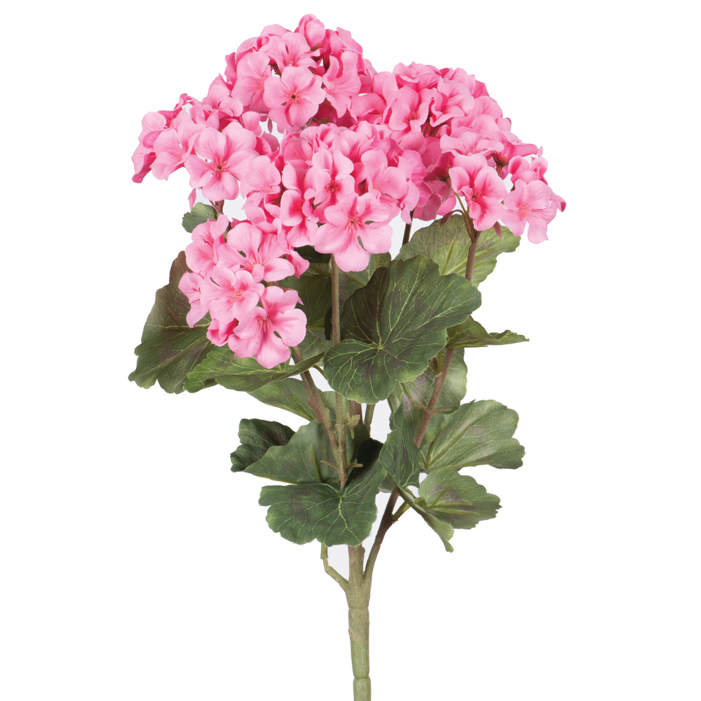 18" Geranium Bushes / Single