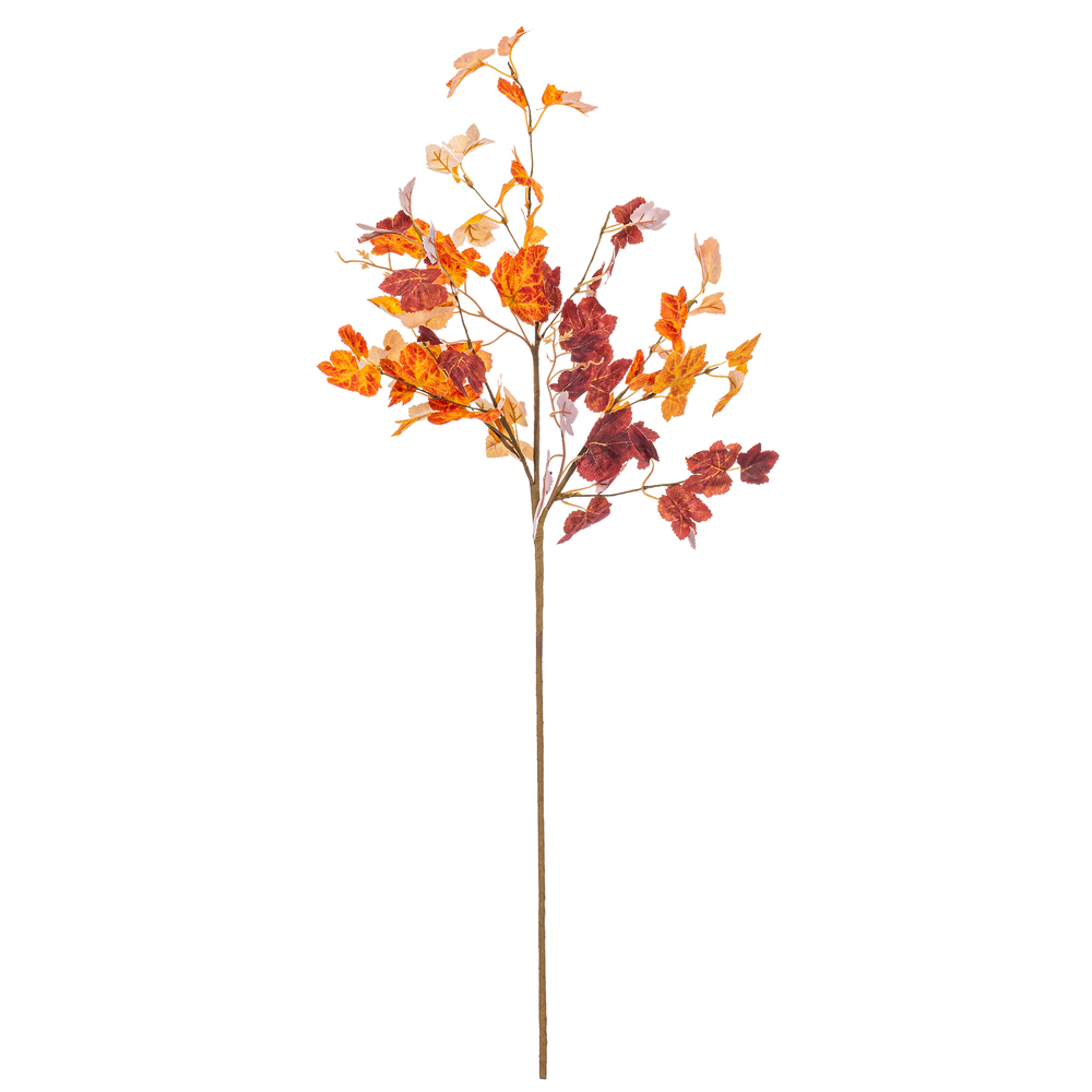 Orange Fall Maple Leaf Collection
