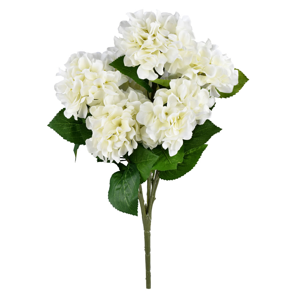21" Hydrangea Bushes