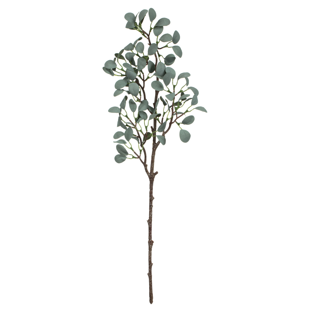 Eucalyptus