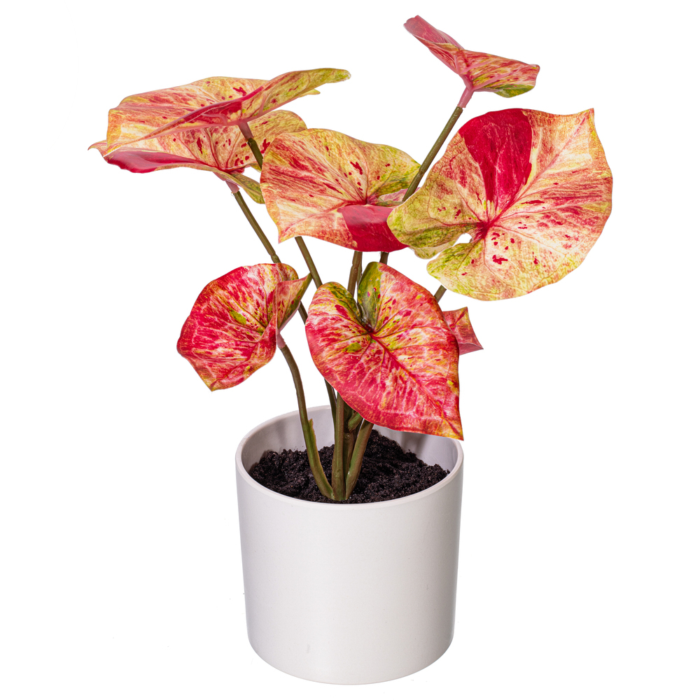 Vickerman 16" Artificial Variegated Leaves in Pot.