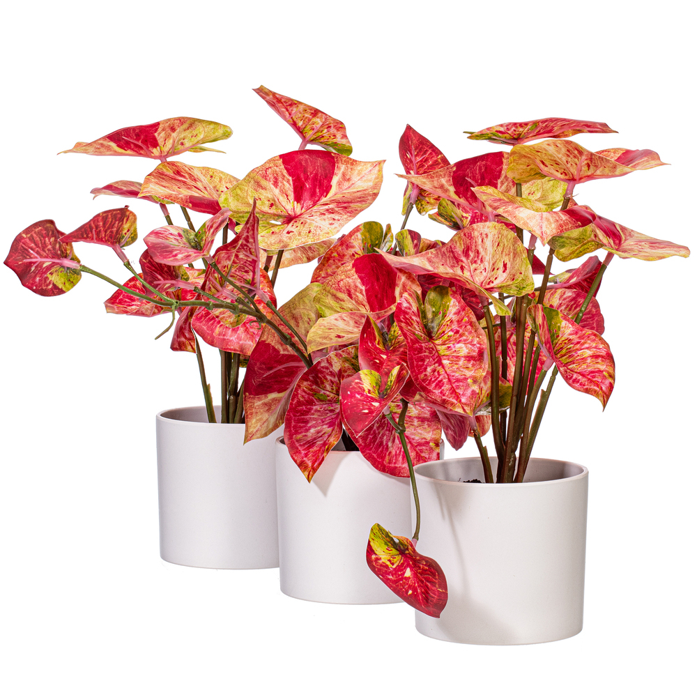 Vickerman 16" Artificial Variegated Leaves in Pot.