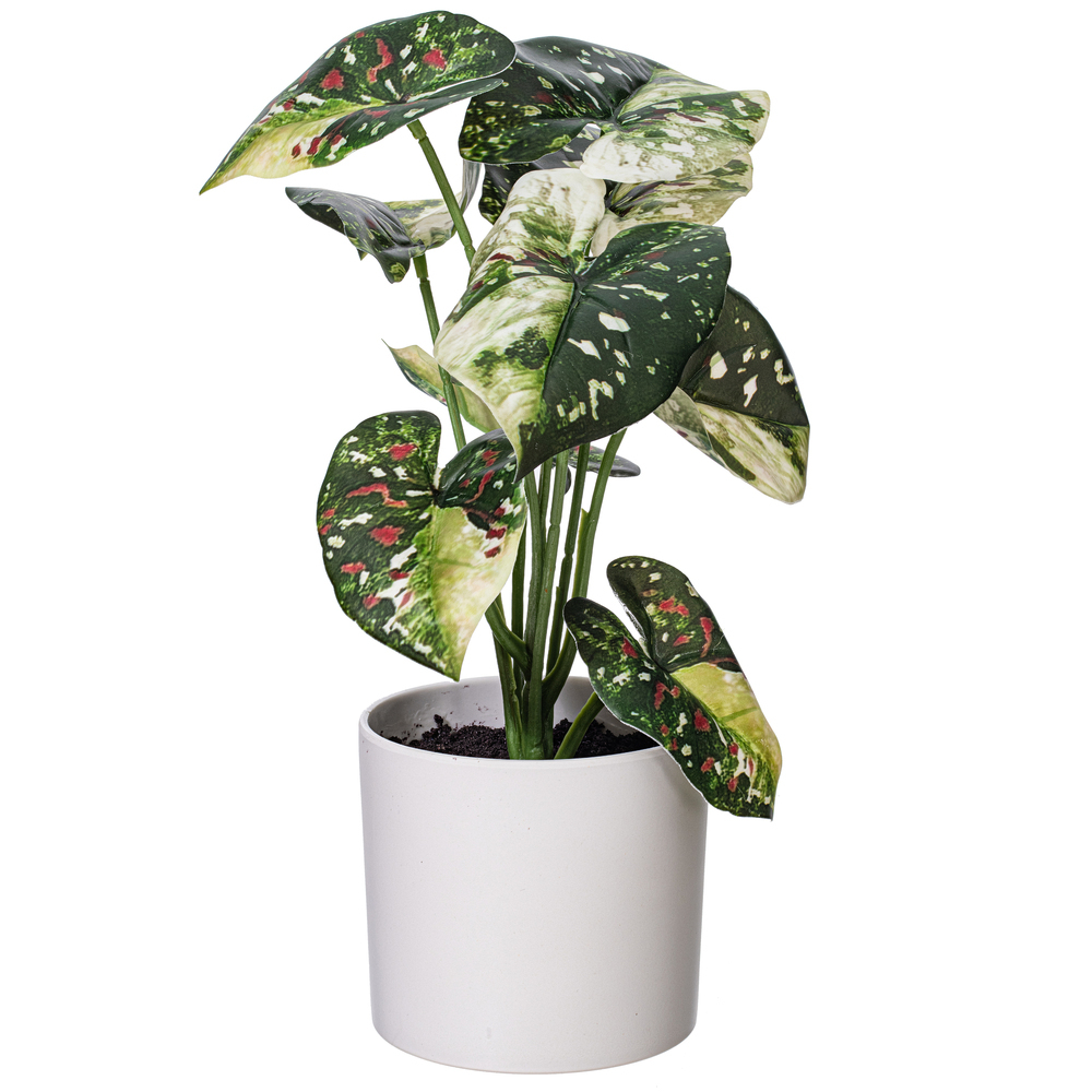Vickerman 11.5" Artificial Variegated Leaves in Pot, 2 per bag