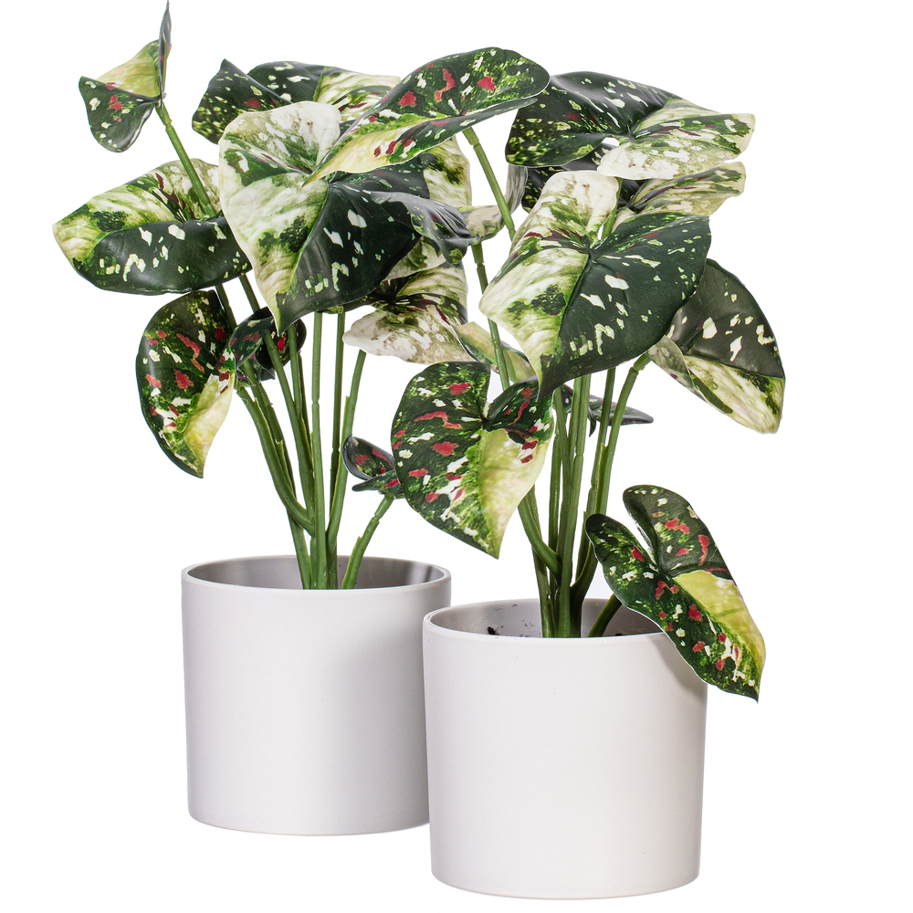 Vickerman 11.5" Artificial Variegated Leaves in Pot, 2 per bag