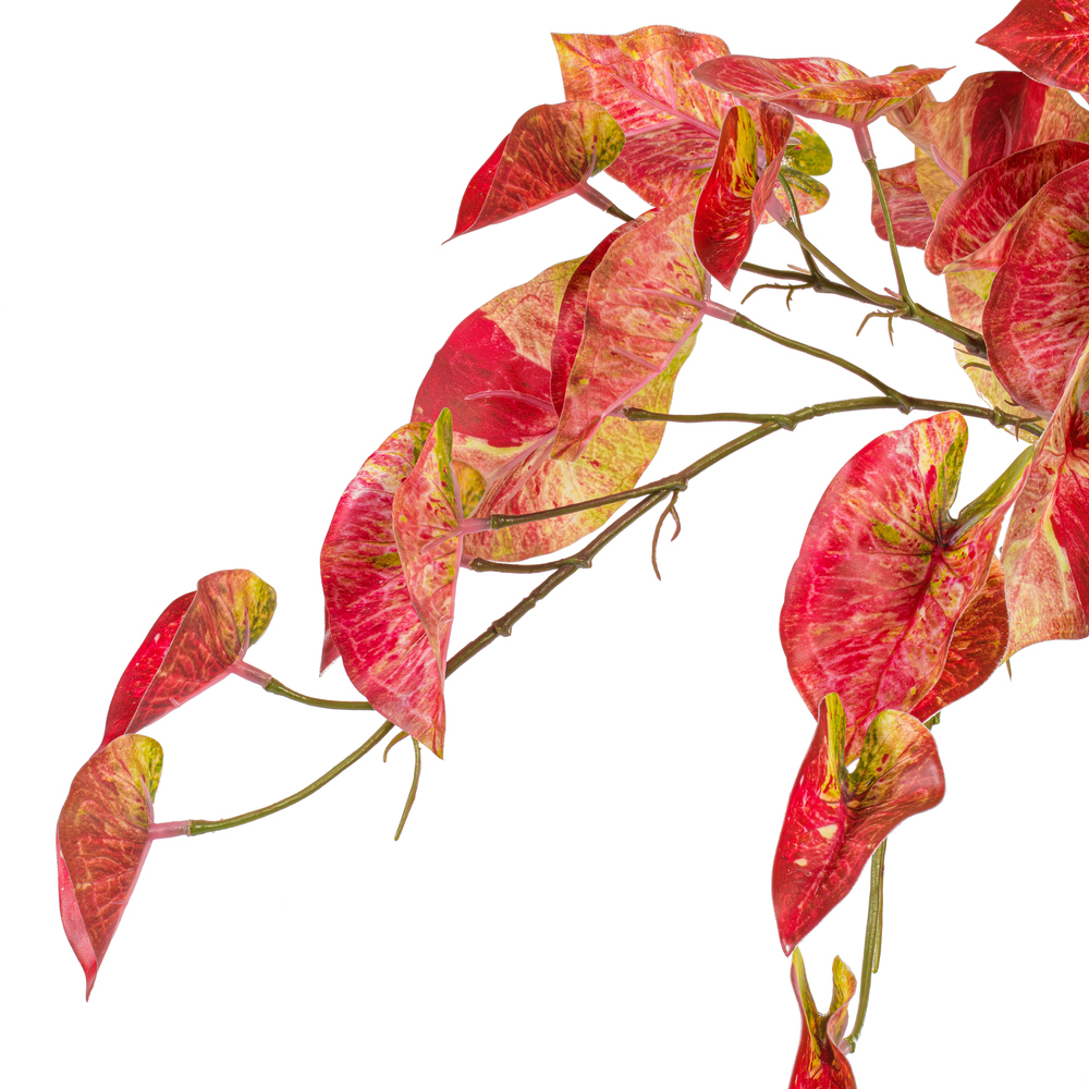 Vickerman 15" Artificial Hanging Variegated Leaves Vine, 2 per bag