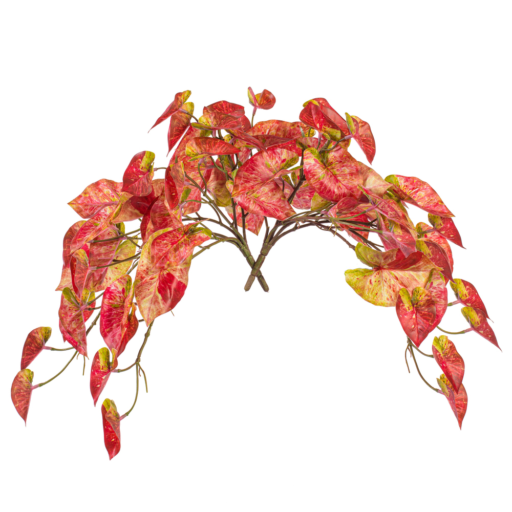 Vickerman 15" Artificial Hanging Variegated Leaves Vine, 2 per bag