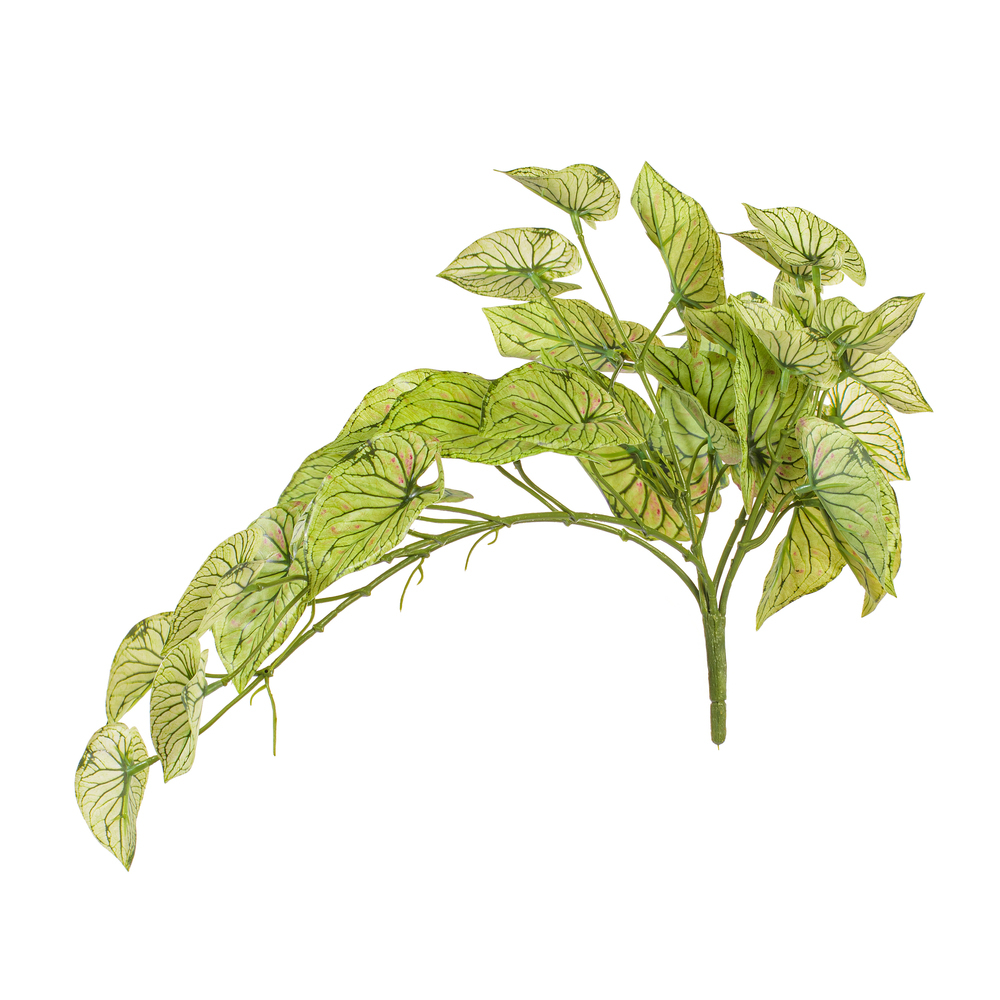 Vickerman 15" Artificial Hanging Variegated Leaves Vine, 2 per bag