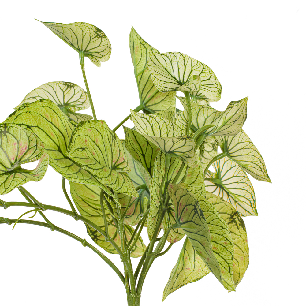 Vickerman 15" Artificial Hanging Variegated Leaves Vine, 2 per bag