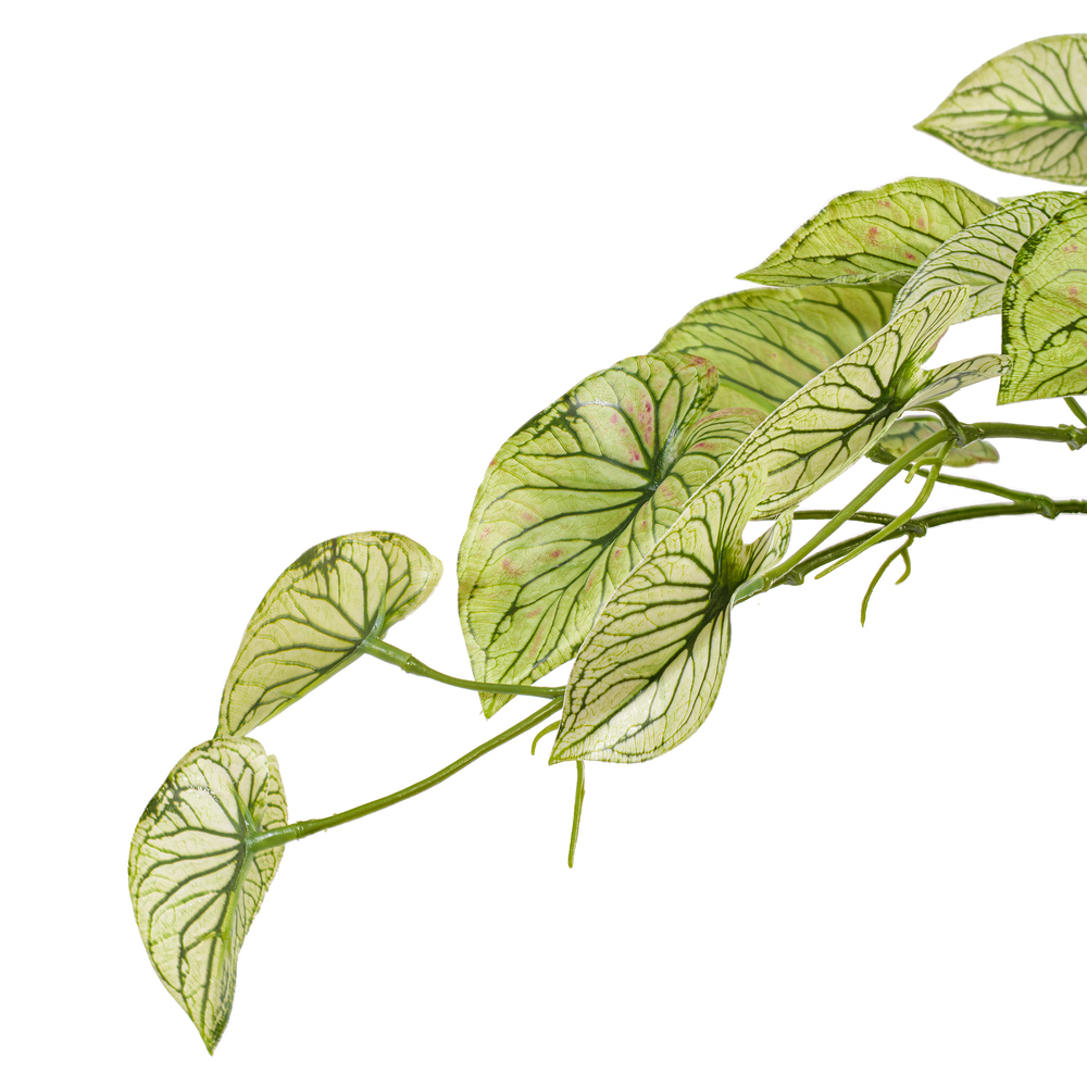 Vickerman 15" Artificial Hanging Variegated Leaves Vine, 2 per bag
