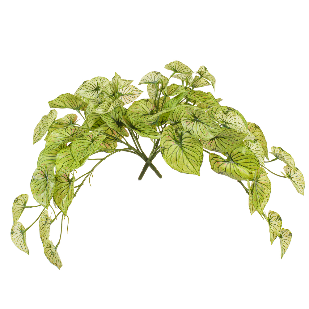 Vickerman 15" Artificial Hanging Variegated Leaves Vine, 2 per bag