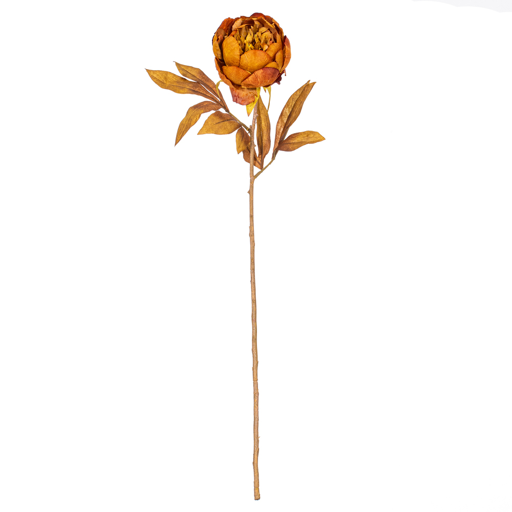 Vickerman 21" Yellow/Brown Peony Stem 6/Bag