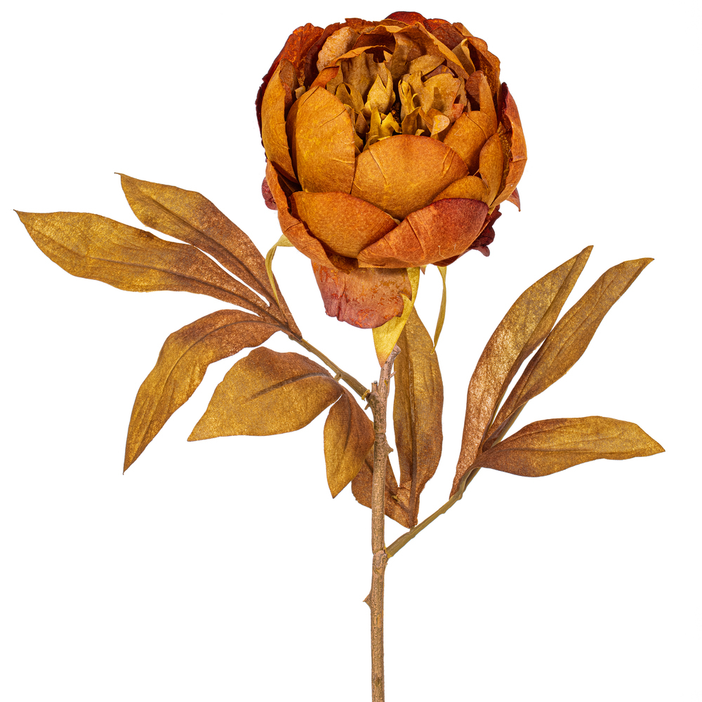 Vickerman 21" Yellow/Brown Peony Stem 6/Bag