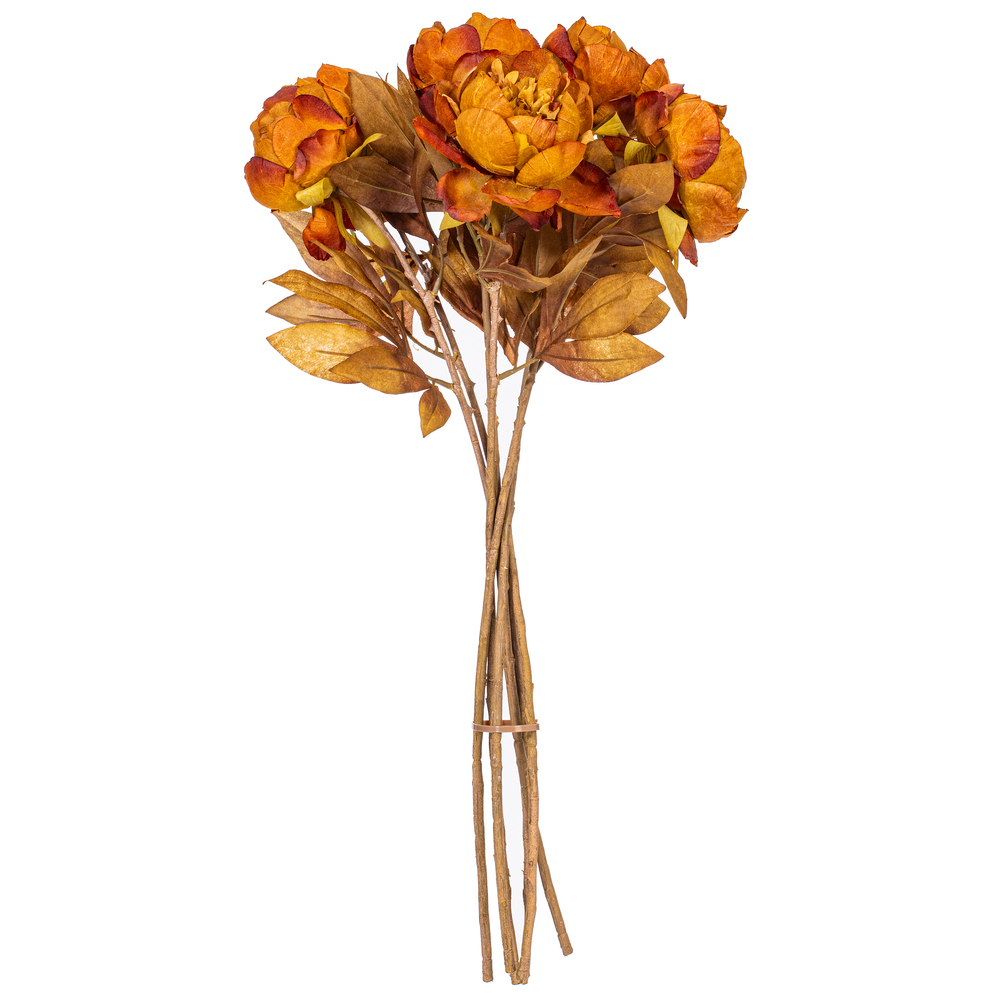 Vickerman 21" Yellow/Brown Peony Stem 6/Bag