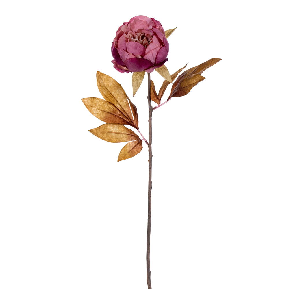 21" Stems