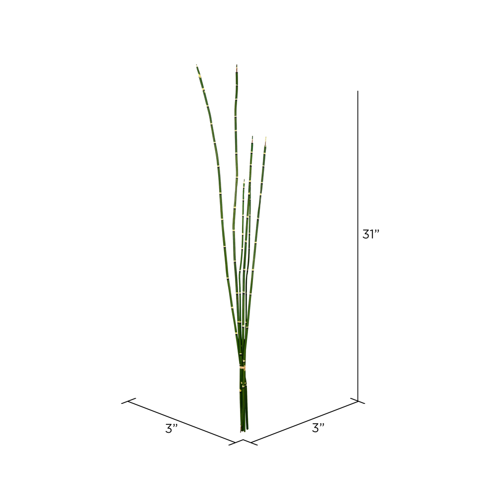 Vickerman Artificial Green Horsetail Bundle, 2/pk
