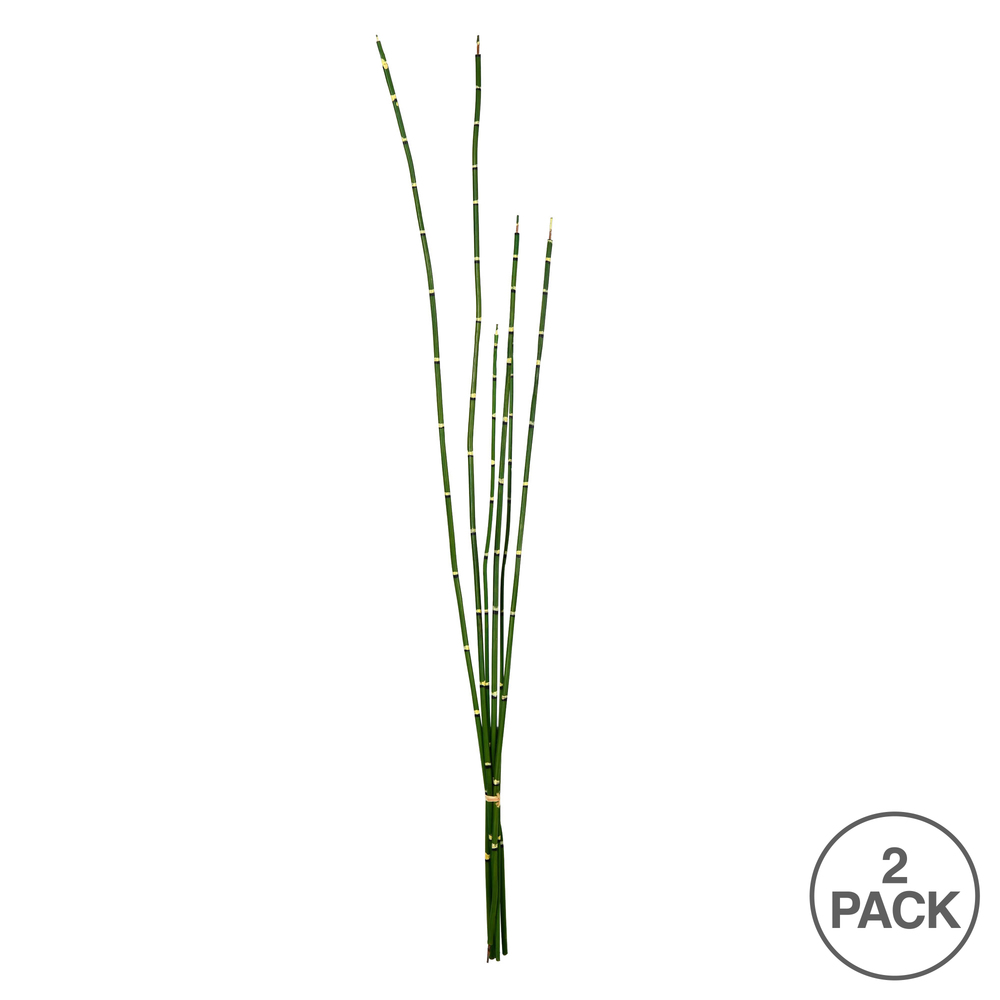 Vickerman Artificial Green Horsetail Bundle, 2/pk