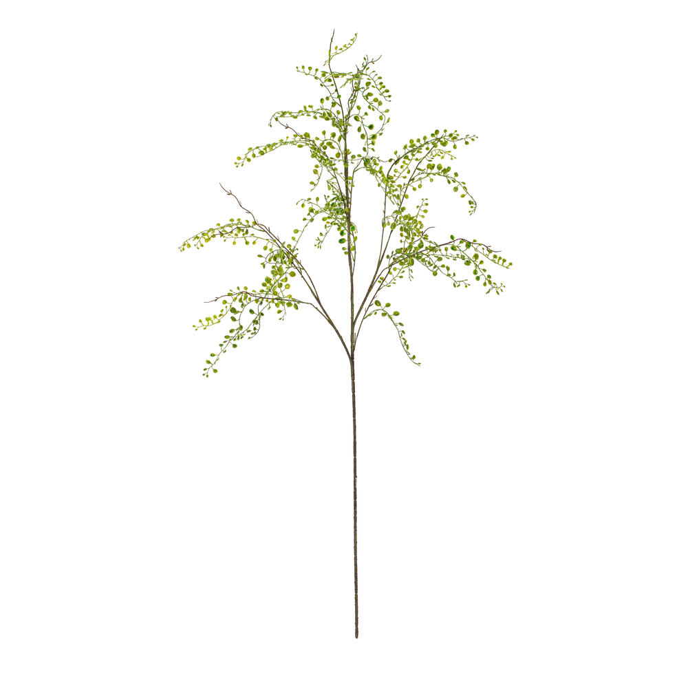 Green Leaves