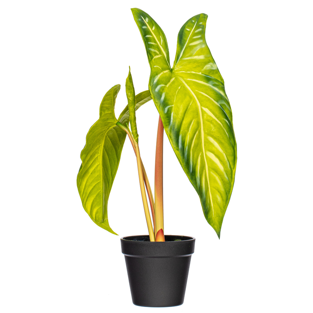 Vickerman Artificial Alocasia Potted Plant