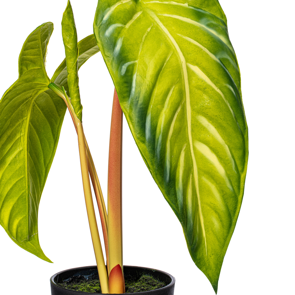 Vickerman Artificial Alocasia Potted Plant