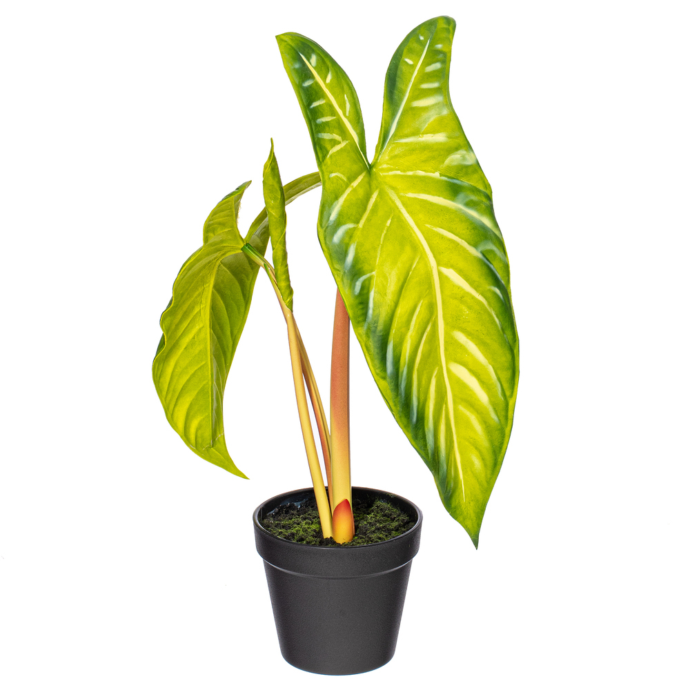 Vickerman Artificial Alocasia Potted Plant