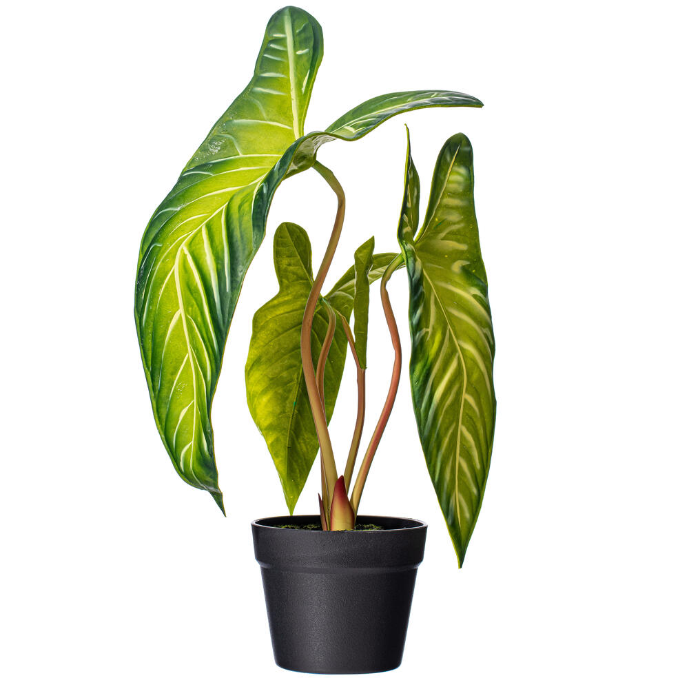 Vickerman Artificial Alocasia Potted Plant