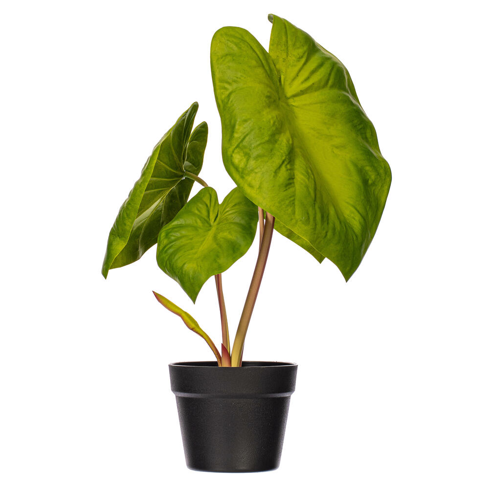 Vickerman Artificial Alocasia Potted Plant