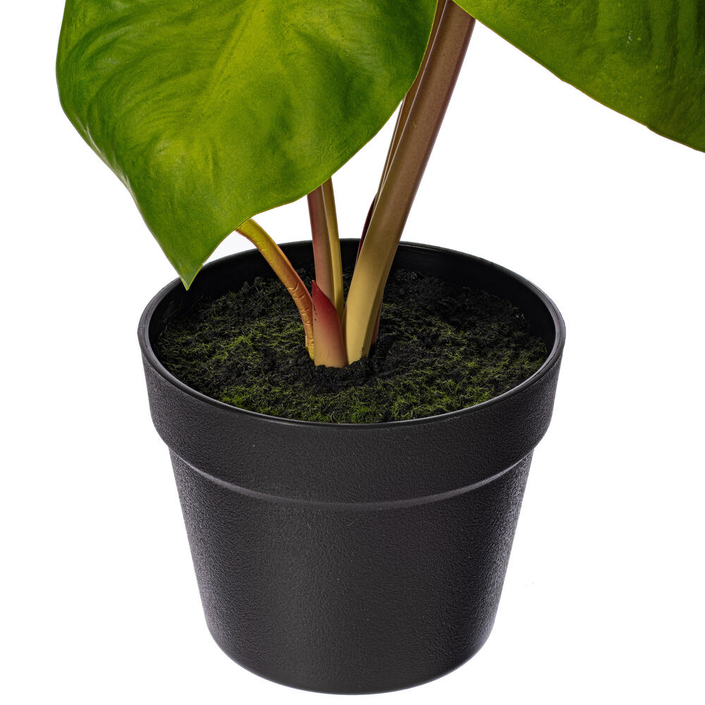 Vickerman Artificial Alocasia Potted Plant