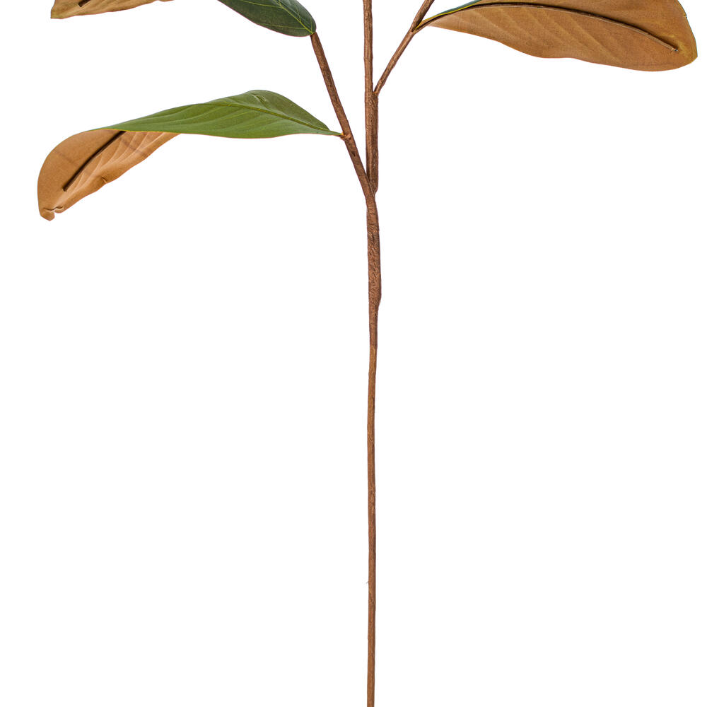 Vickerman Green Artificial Magnolia Leaf Collection