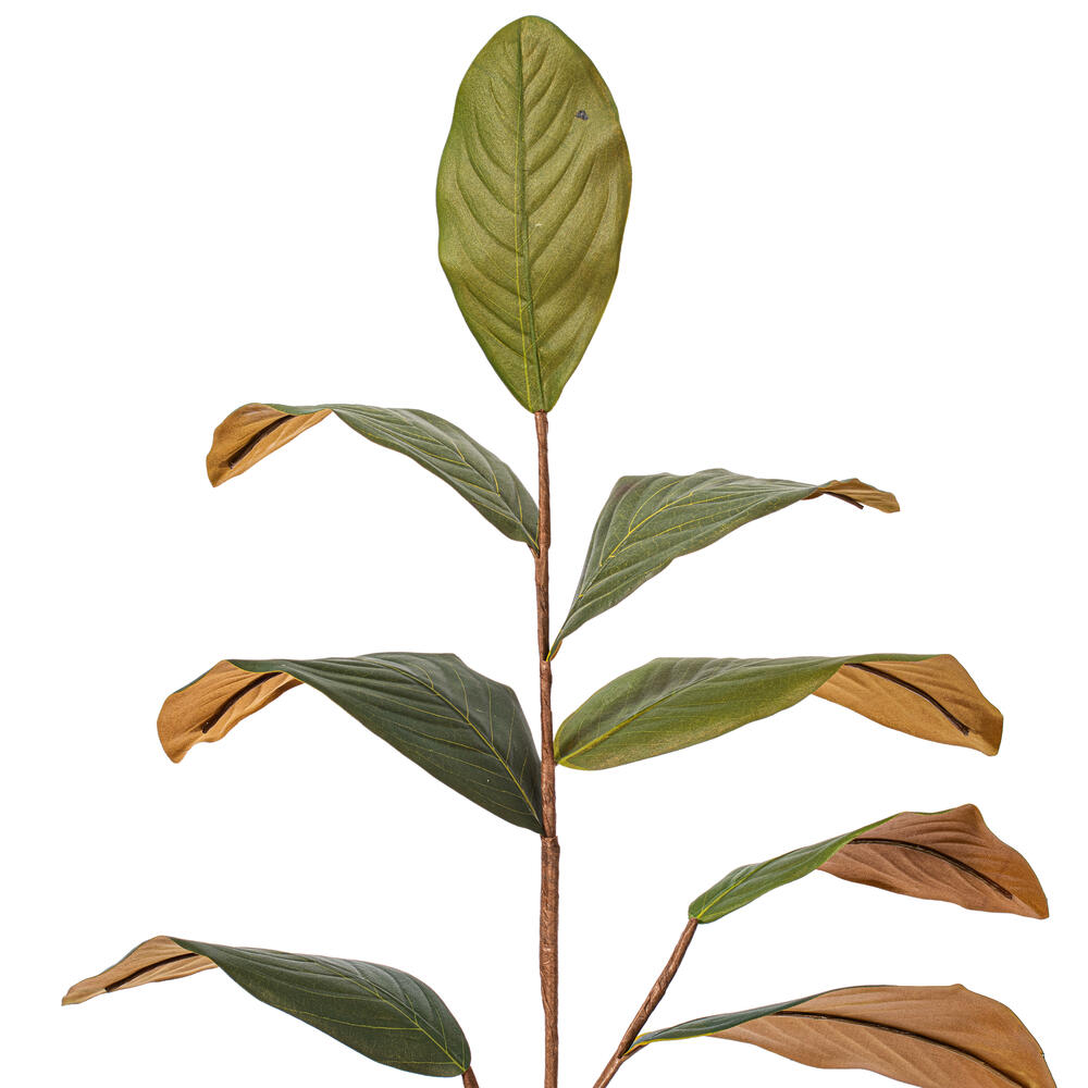 Vickerman Green Artificial Magnolia Leaf Collection
