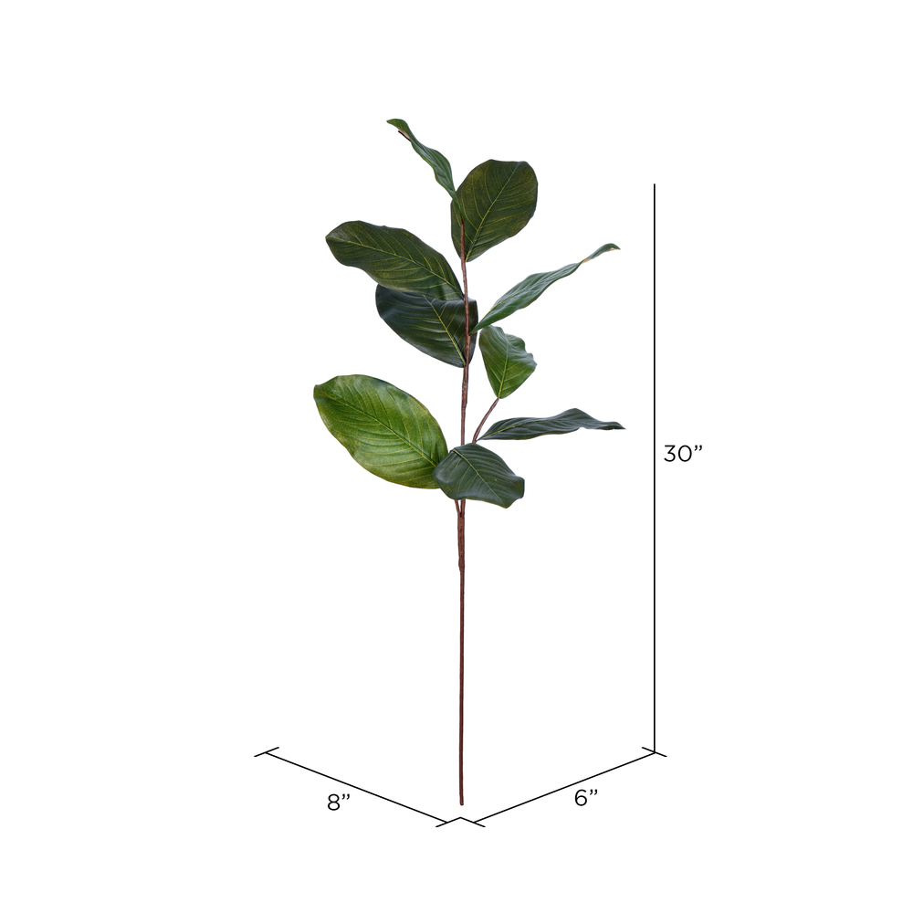 Vickerman Green Artificial Magnolia Leaf Collection