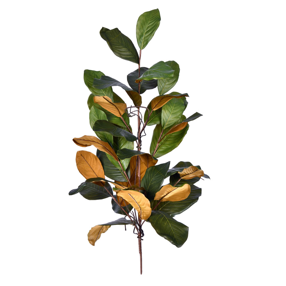 Green Magnolia Leaf Collection