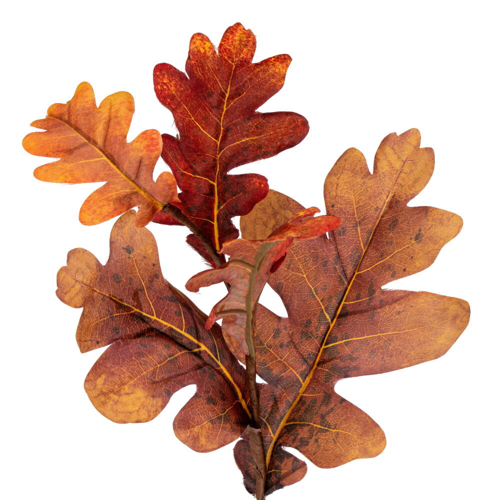 Vickerman Orange Autumn Artificial Oak Leaf Collection