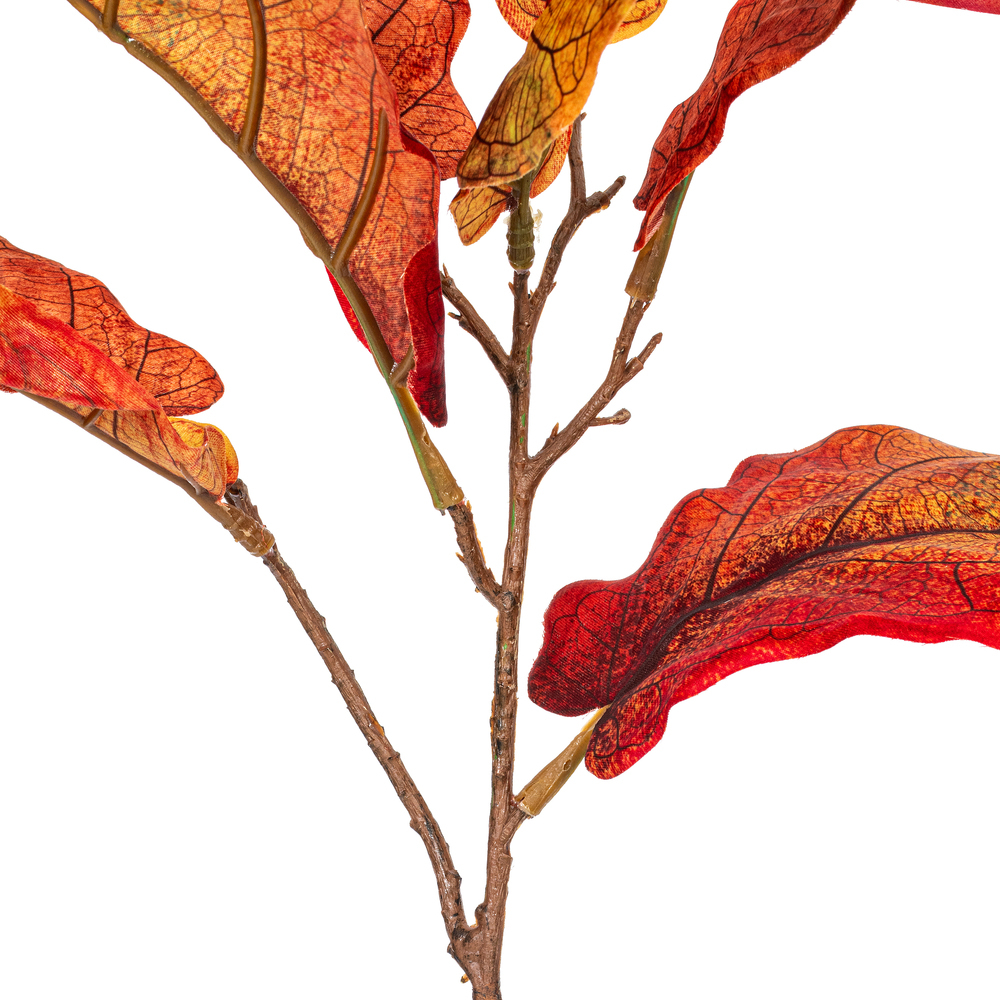Vickerman Orange Fiddle Leaf Spray.
