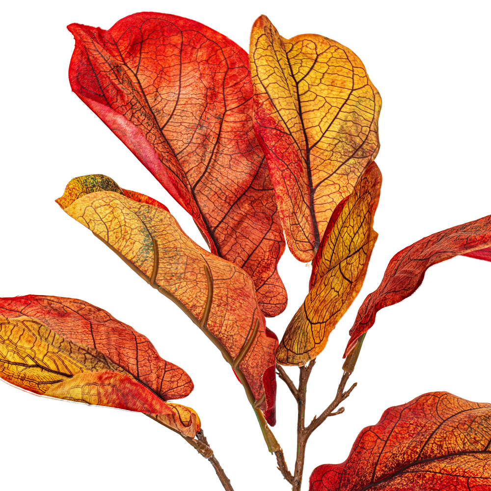 Vickerman Orange Fiddle Leaf Spray.