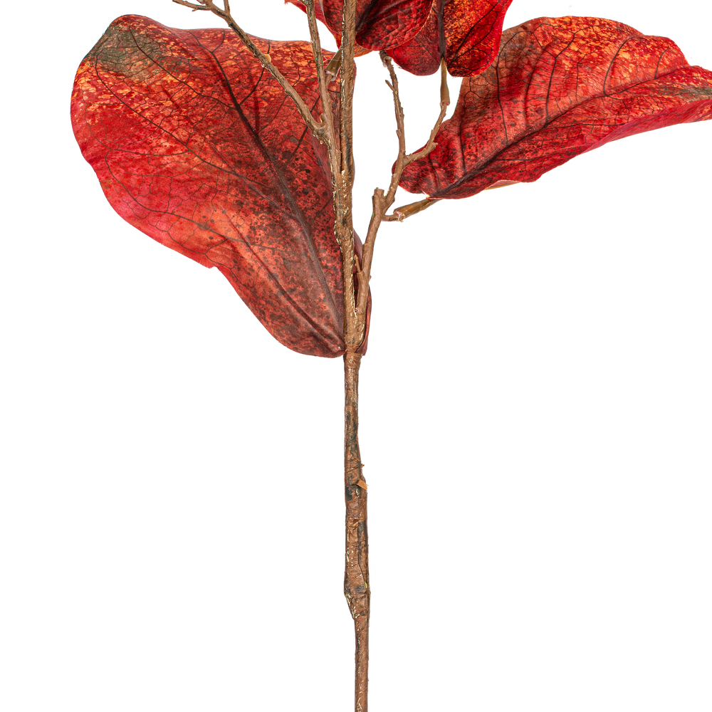 Vickerman Orange Fiddle Leaf Spray.