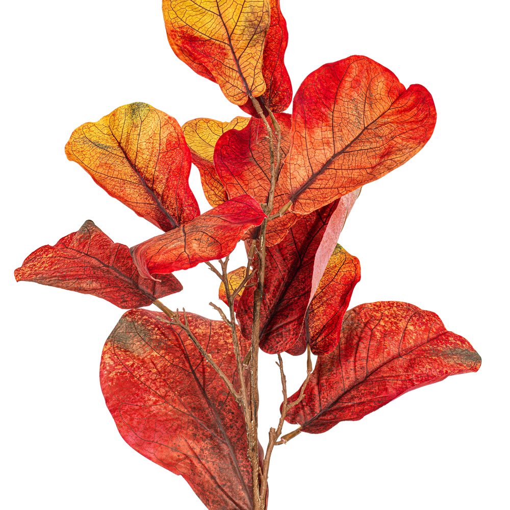 Vickerman Orange Fiddle Leaf Spray.