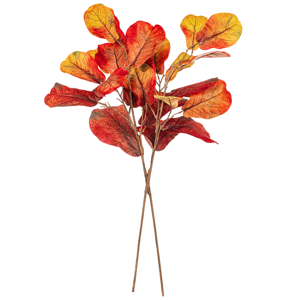 Vickerman Orange Fiddle Leaf Spray.