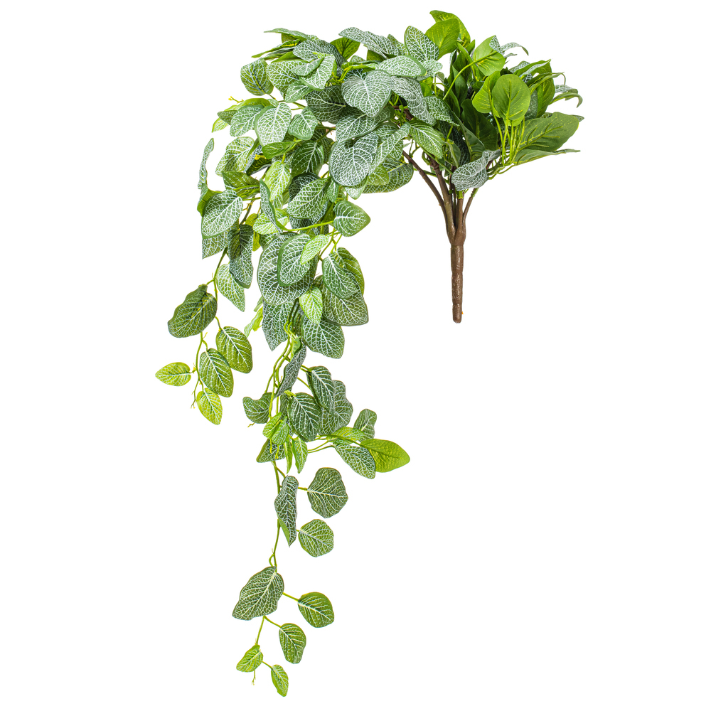 Vickerman Green Artificial Fittonia Bush