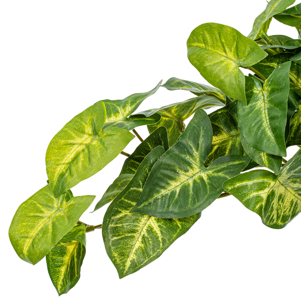 Vickerman Green Artificial Syngonium Bush