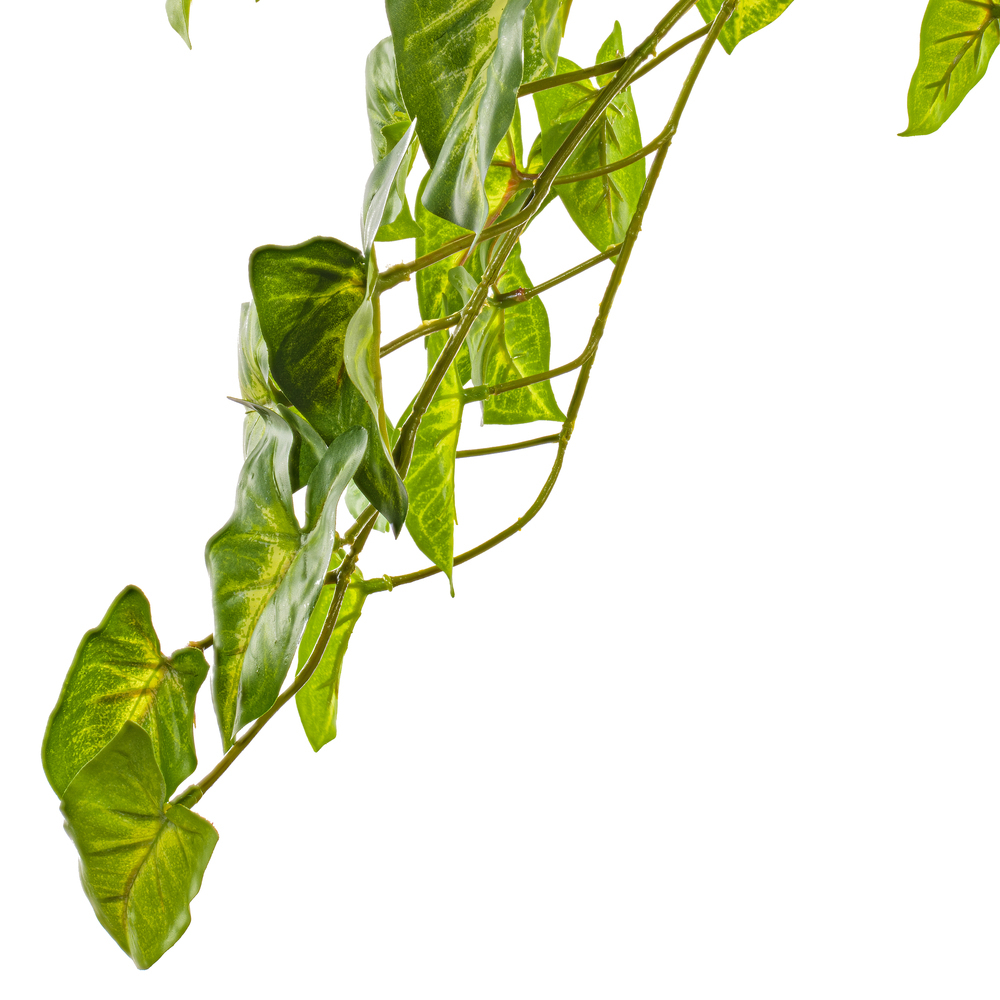Vickerman Green Artificial Syngonium Bush