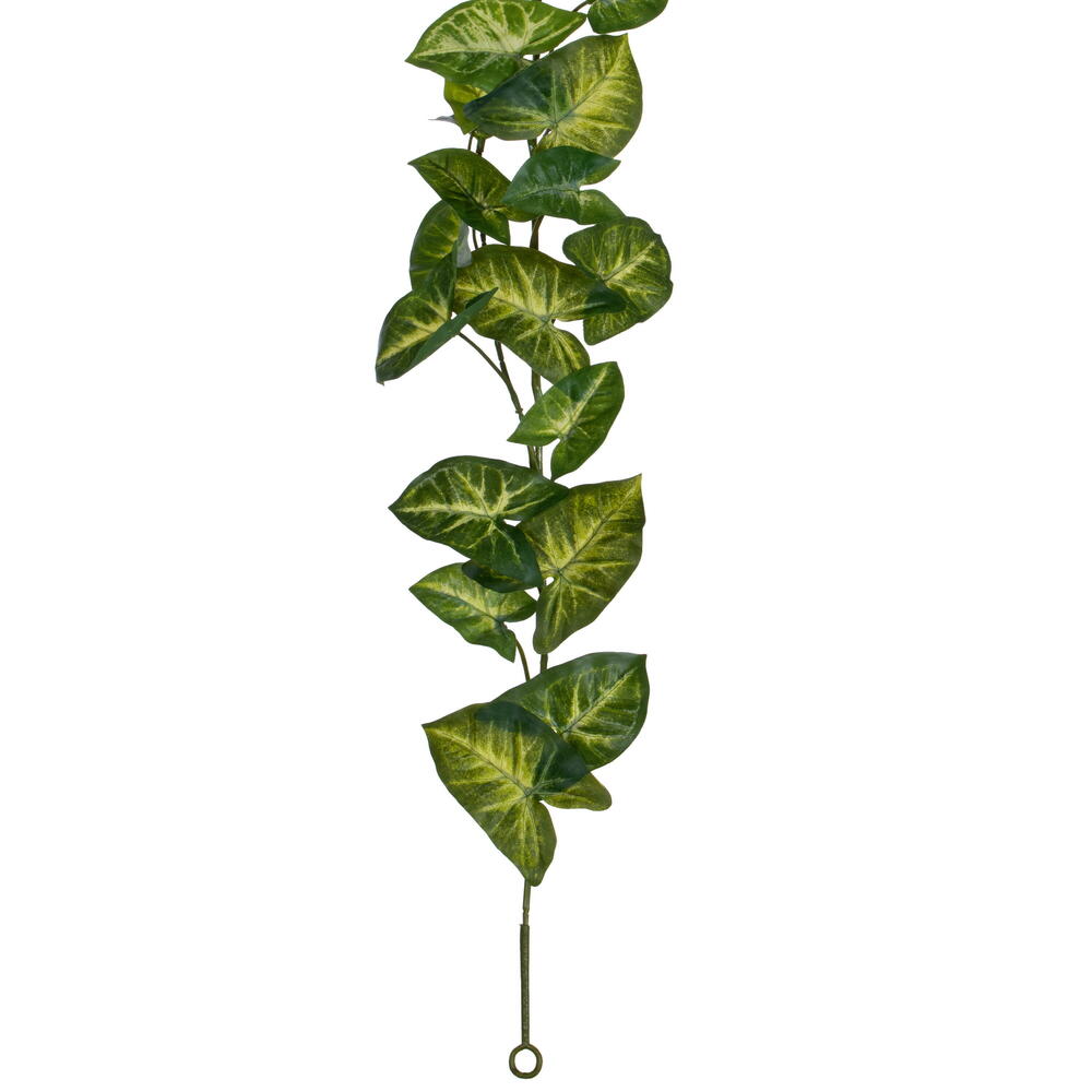 72" Syngonium Garland UV