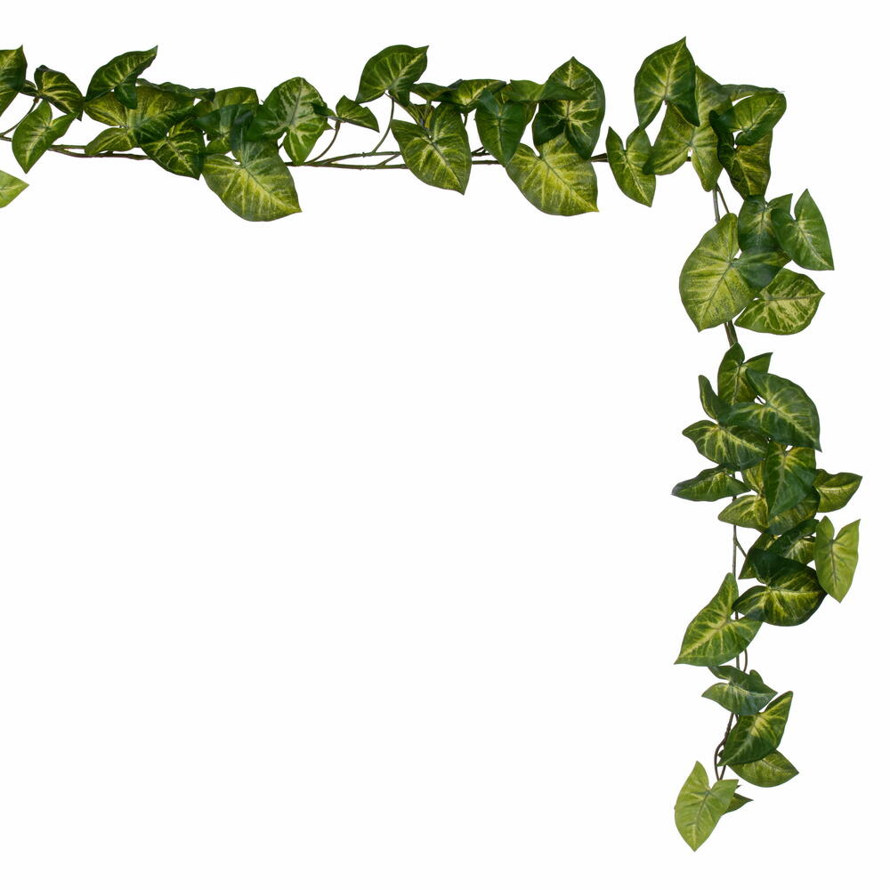 72" Syngonium Garland UV