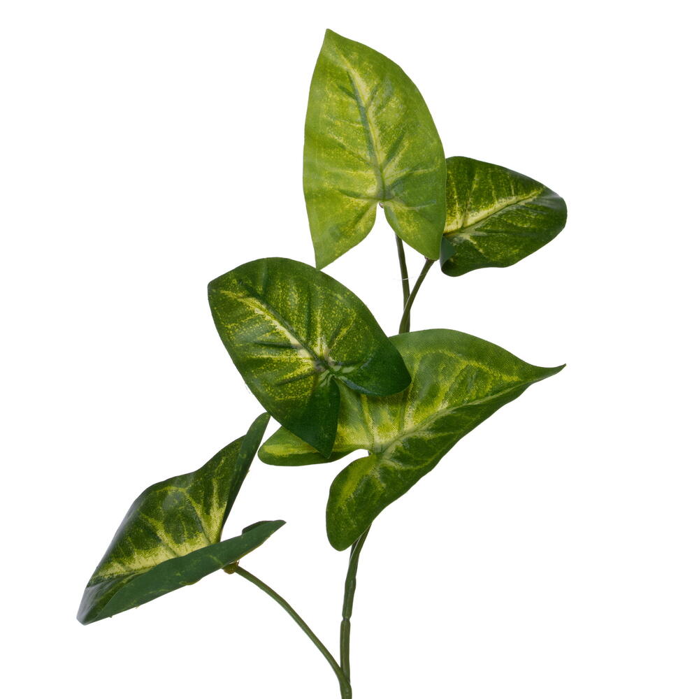 72" Syngonium Garland UV