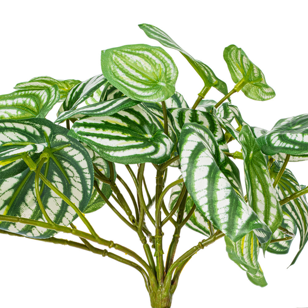 Vickerman Artificial Watermelon Peperomia Bush