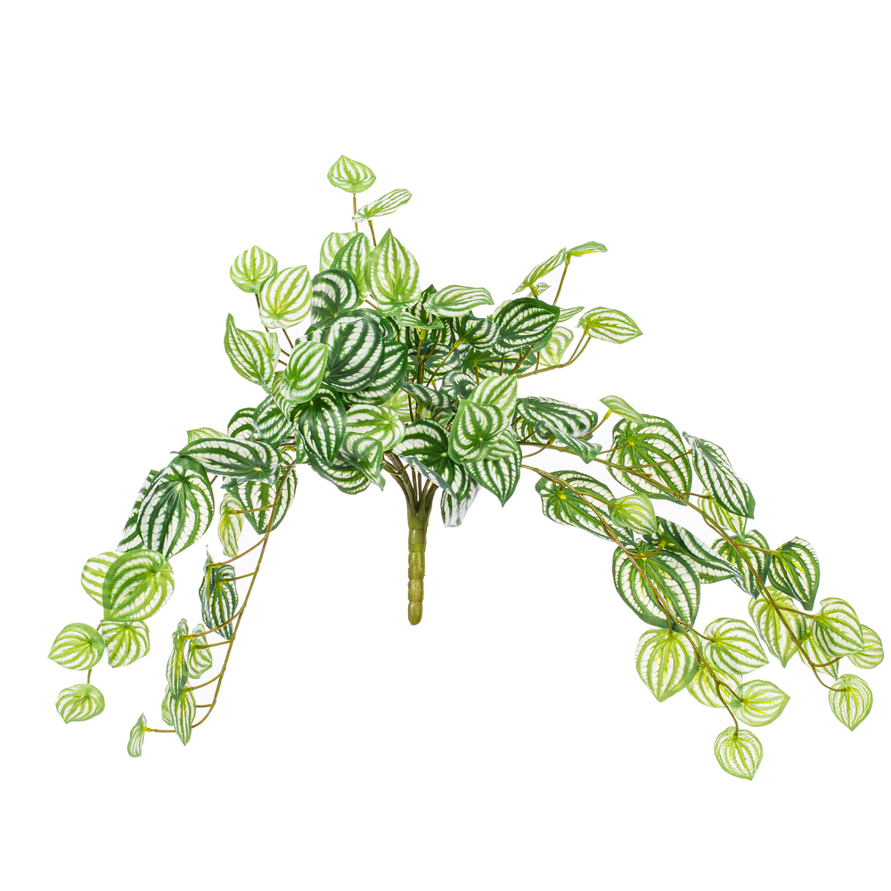 Vickerman Artificial Watermelon Peperomia Bush