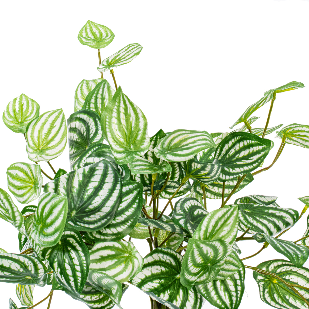 Vickerman Artificial Watermelon Peperomia Bush